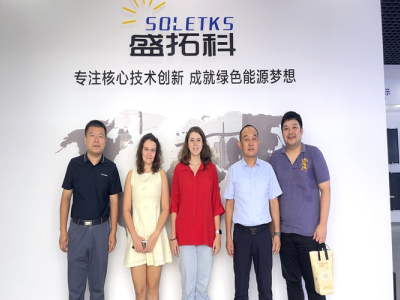 visitors of Soletks group